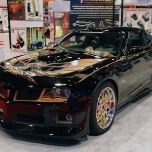 Meet your Posher, Tracey-lynn